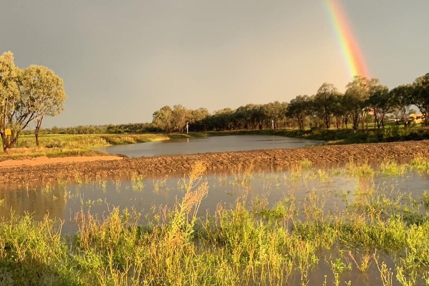 Flood waters over paddock with rainbow