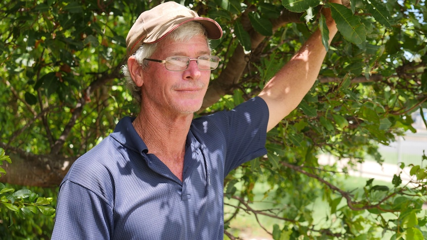 Middle aged man wearing hat underneath a tree with his arm holding on a branch, staring into the distance