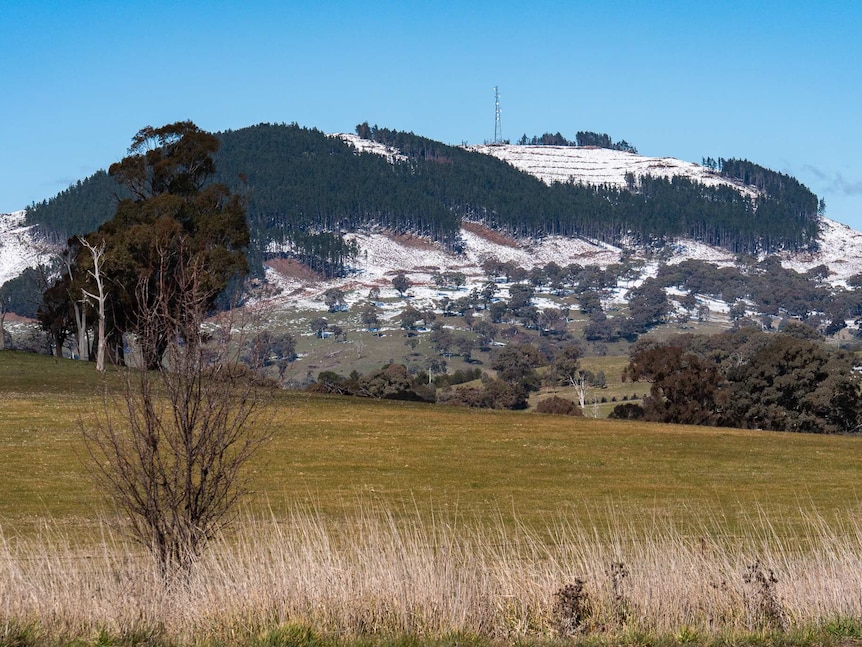 A snow-capped Mount Macquarie with a paddock in the foreground.