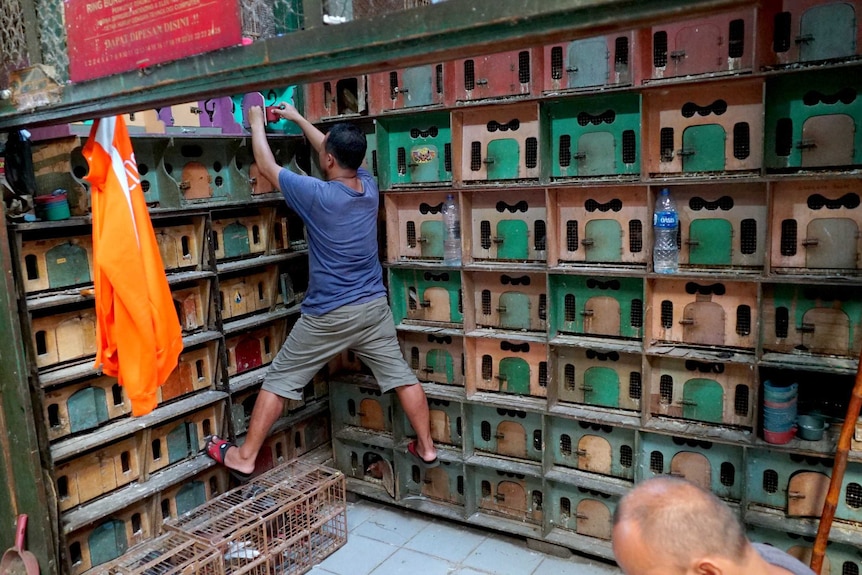 Man who works at a Jakarta market