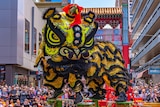 在澳大利亚各地，春节庆祝活动中不可缺少的组成部分就是舞龙舞狮表演。