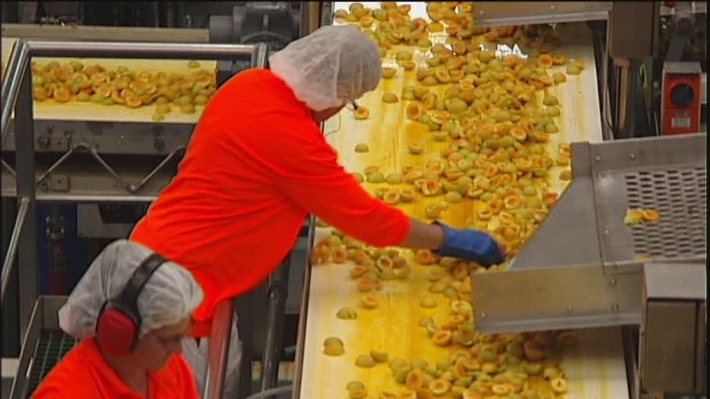 Fruit firm faces pickle over losses, growers, and sackings - ABC News
