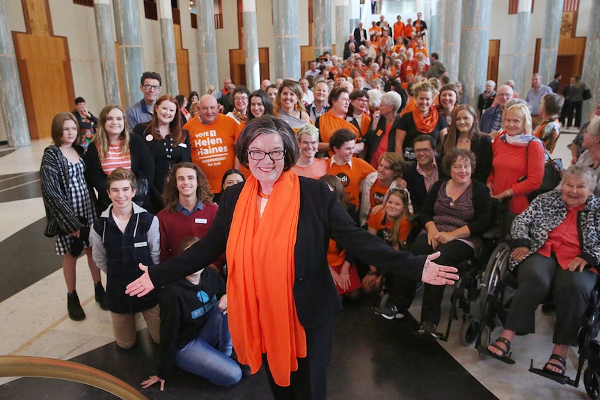 Independent Cathy McGowan (with orange scarf) stands in front of a group of people with arms opened.