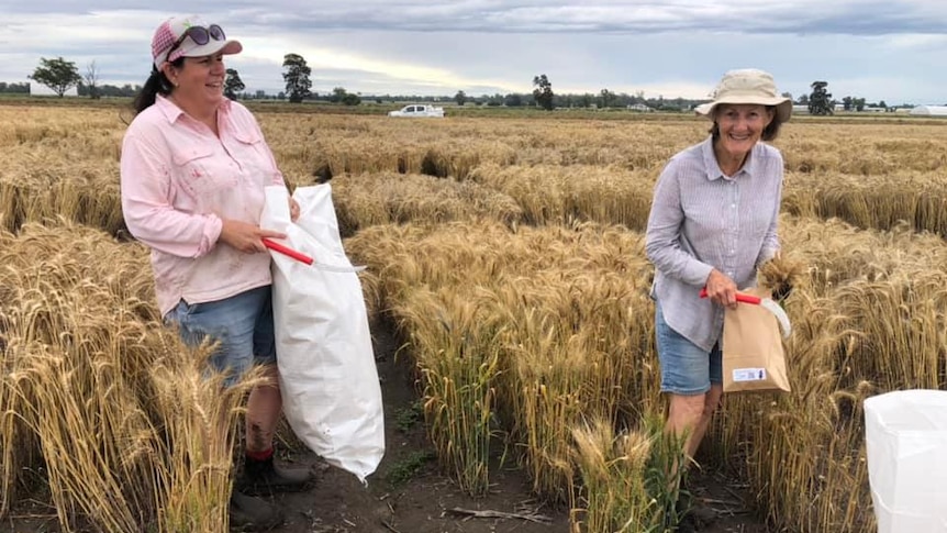 women laughing in the field