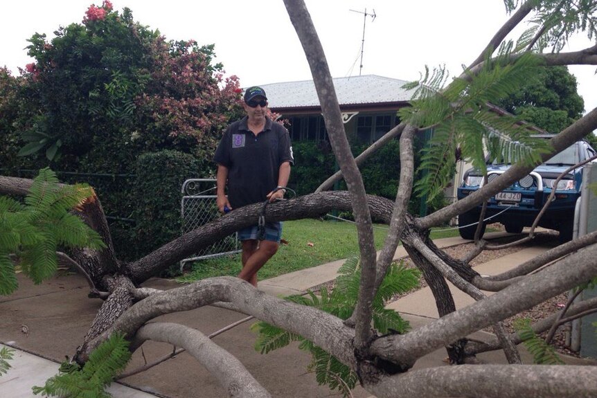 This tree came down in Ayr — narrowly missing Peter Pitieris' house.