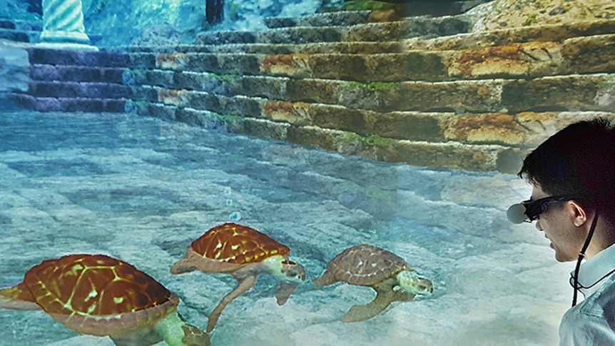 Holographic turtles swim with a visitor to the hologram centre.