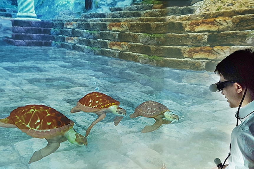 Holographic turtles swim with a visitor to the hologram centre.