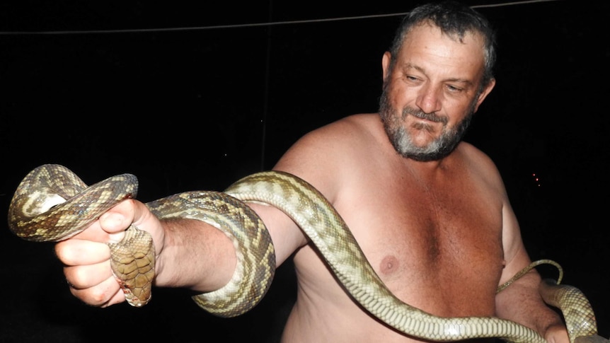 Neville Jackson wrangling the three metre long snake.