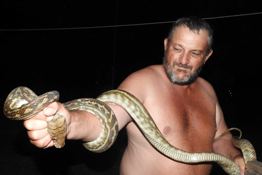 A man wrangling a 3-metre-long snake.
