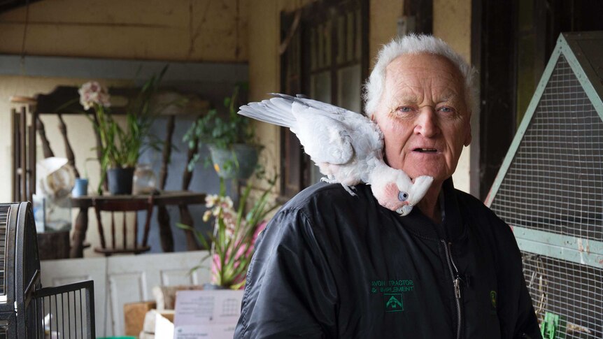Leo Page is boosting the survival odds of endangered birds