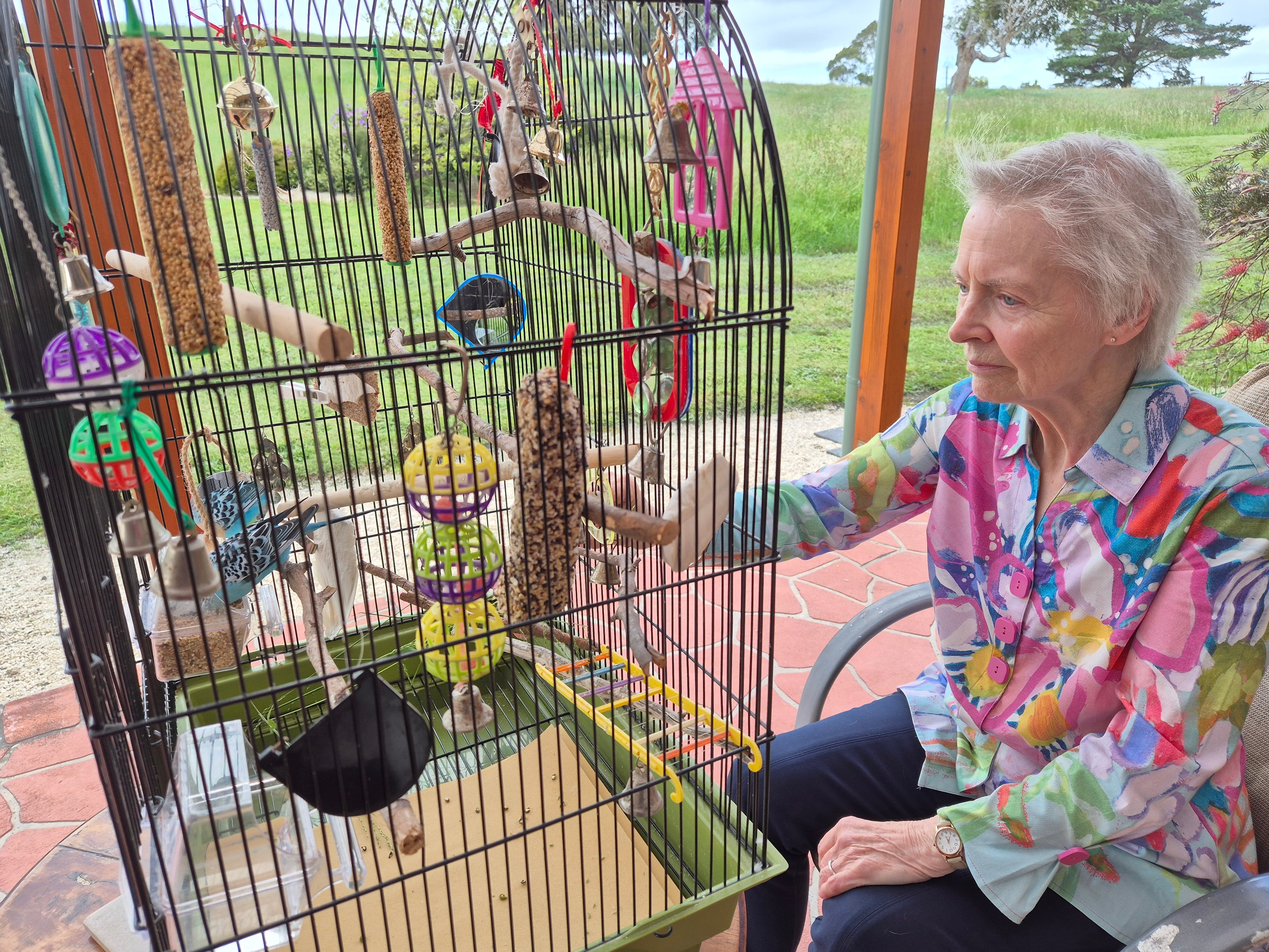 Uma mulher idosa com uma camisa colorida olha para um periquito azul em uma gaiola sobre uma mesa em um pátio.