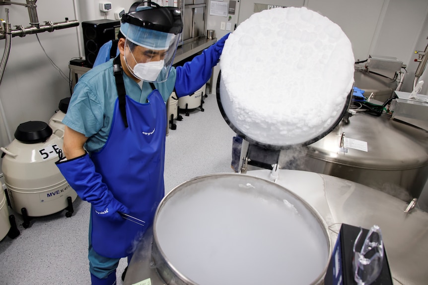 An employee checks a bio tank that freezes eggs in a Fertility Research lab in south korea