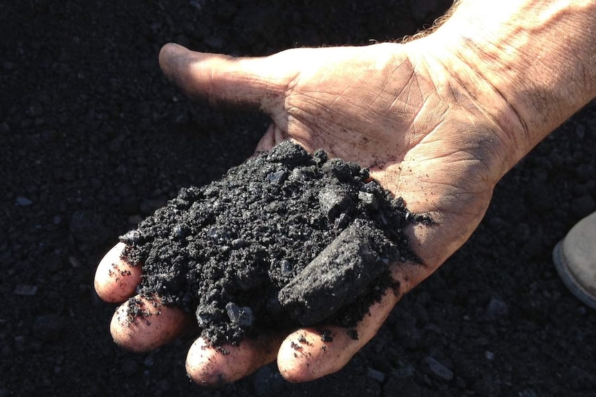 A hand holds rich black soil