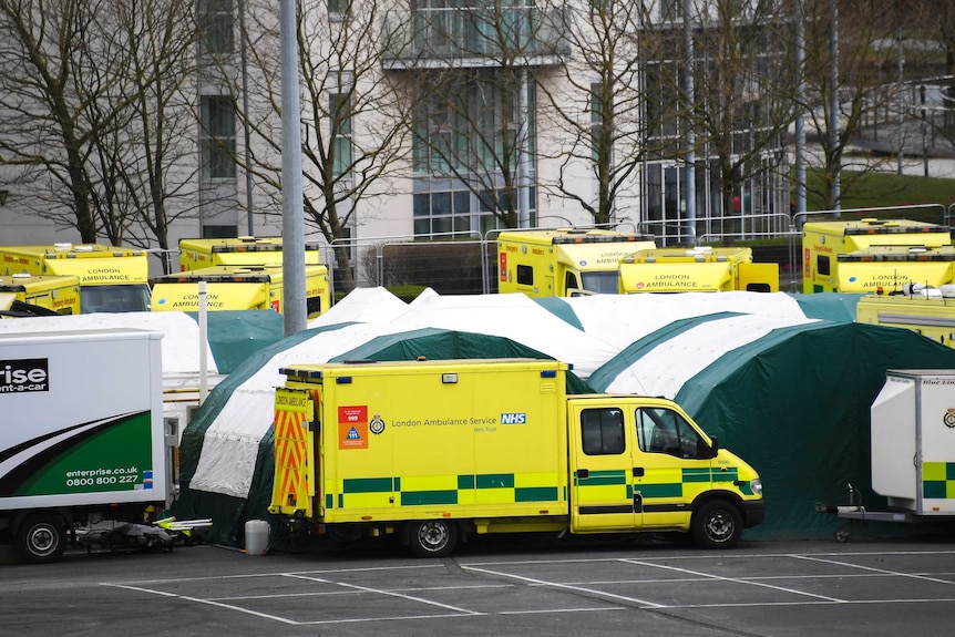 Yellow ambulances stand in a parking lot in front of tents.