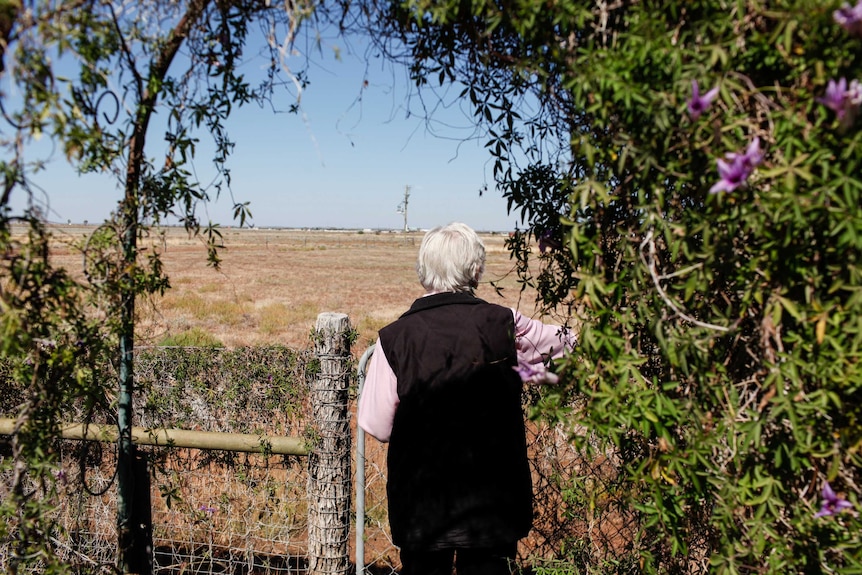 Rosie Archer stands among purple flowers on vines, looking away from the camera to a dry paddock beyond the back fence.