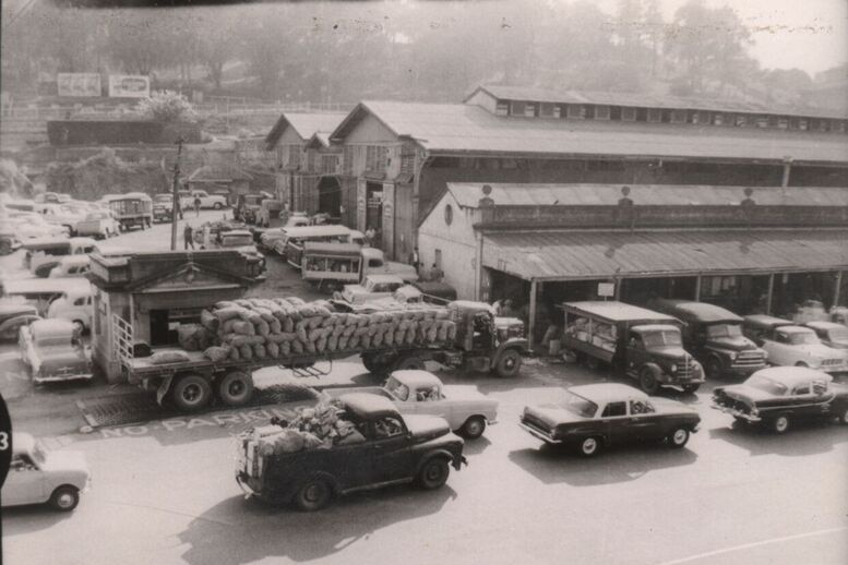 1950's Brisbane Municipal markets Roma Street.