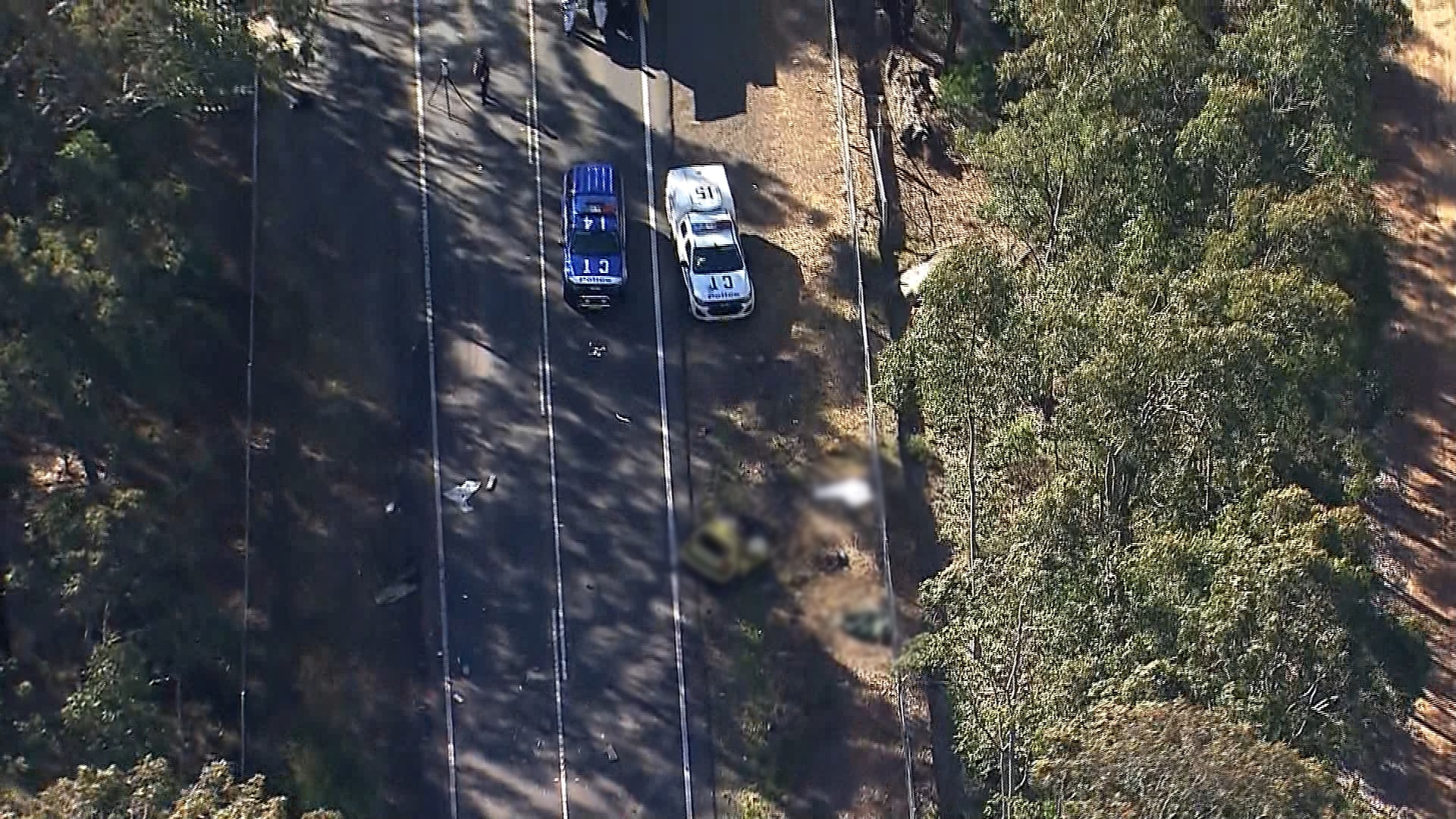 Driver dies after crashing into truck in front of police cars