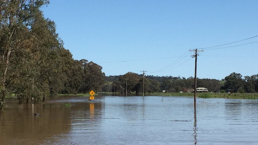 Wagga Wagga flooding