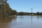 Wagga Wagga flooding