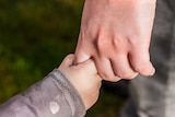 A small child's hand holds an adult's hand.