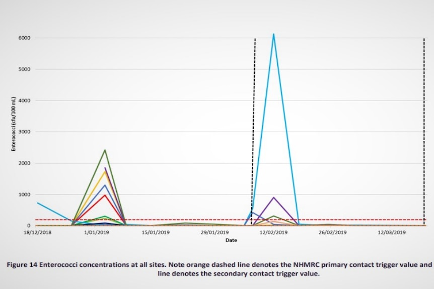 Enterococci levels at Coles Bay in the summer of 2018/2019