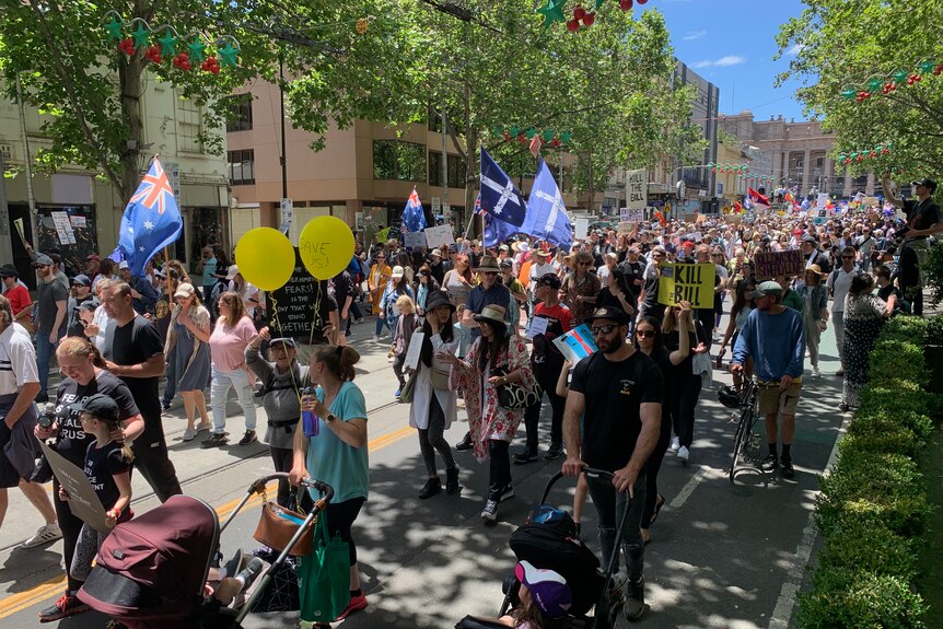 Crowd waves flags and carries signs while walking down sunny Melbourne street.