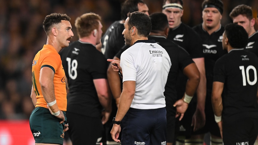 Wallabies shattered after ‘disgraceful’ refereeing decision in Bledisloe Cup Test loss to All Blacks – ABC News