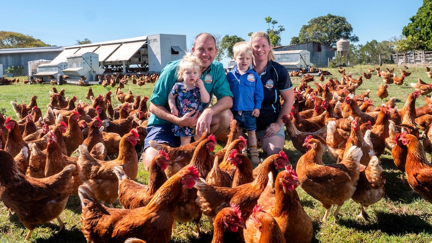 A man, woman and young girl and young boy stand surrounded by chickens.