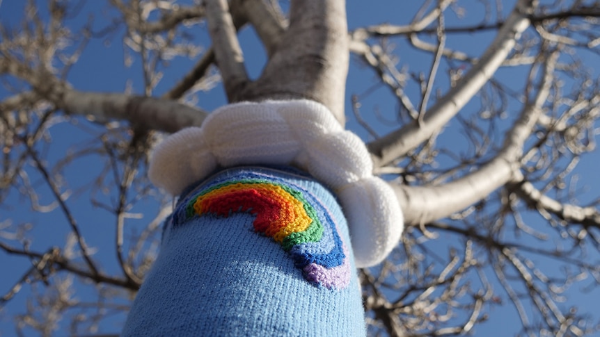 A knitted cloud and rainbow on a tree in the main street of Warwick