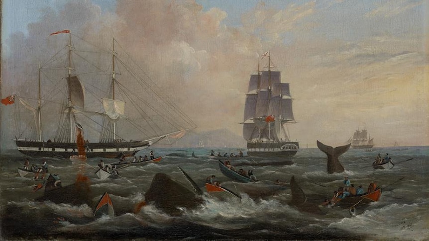A painting of tall ships at sea, with smaller row boats beside harpooned whales