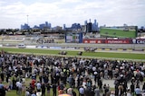 Horses gallop down the straight in the first race at Flemington Racecourse on Melbourne Cup day
