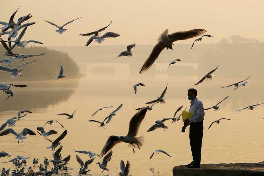 A man feeds birds in a river on a polluted day