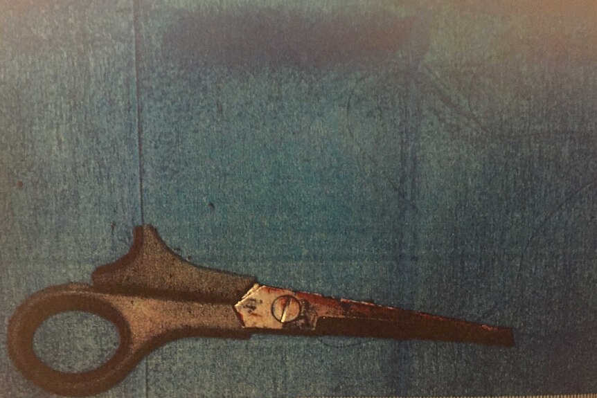 A picture of the scissors used to stab Leila Alavi.