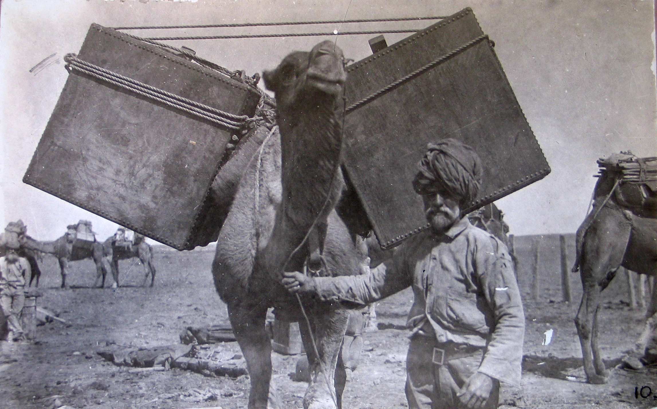 The Muslim Cameleers The lives and legacies of Australia's little