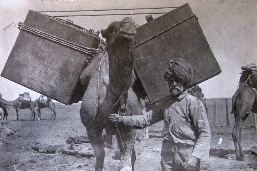 A cameleer and his camel illustrating the method of roping on a load so that it is pulled away from the camel