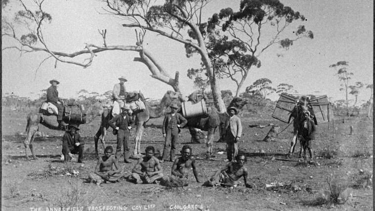 Historical image of people standing with four camels near a tree in Coolgardie WA