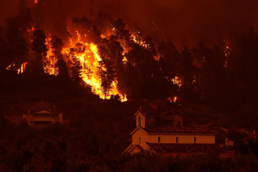A forest goes up in flames as the blaze approaches a village north of Athens
