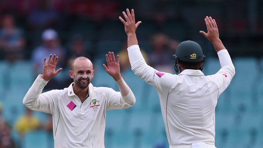 Nathan Lyon after taking a wicket