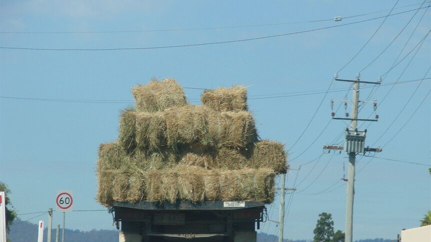 Small bales head south from northern Tasmania
