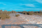 Photo of raging floodwaters in a river