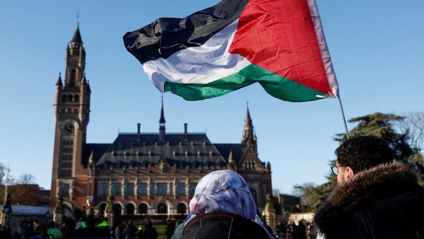 手持巴勒斯坦旗帜的人群