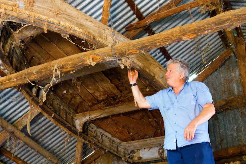 A man standing under a historic boat hanging in the rafters of an old farm.