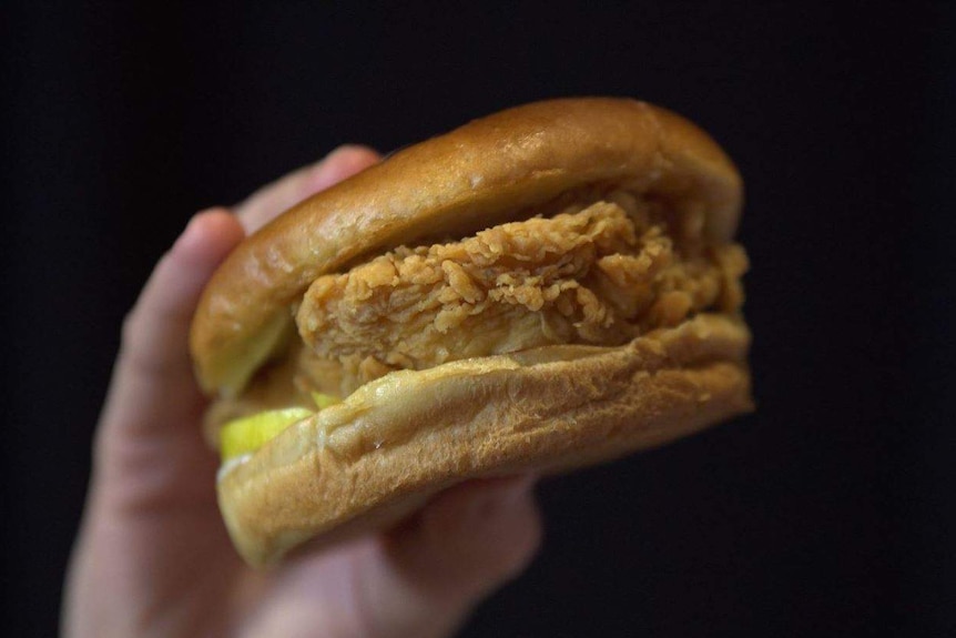 A close up of  hand holding a Popeyes chicken sandwich with a black background