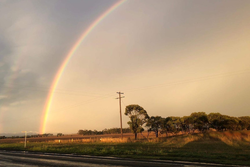 A rainbow shines in a bright grey sky over farmland with powerlines and trees in the foreground.