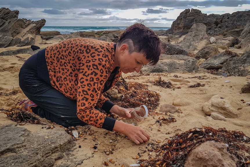 Colleen Hughson picking up 'nurdles' or plastic pellets on Shelly Beach.