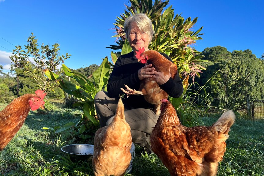 Three Isa Brown chickens are seen surrounded by Kelly, as she holds one up and smiles at the camera in an open field with trees.