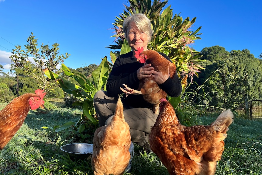 Three Isa Brown chickens are seen surrounded by Kelly, as she holds one up and smiles at the camera in an open field with trees.
