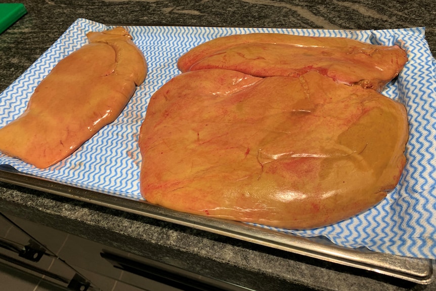 A small and a large portion of eagle ray liver, orange in colour, are draining on Chux spread over a baking tray