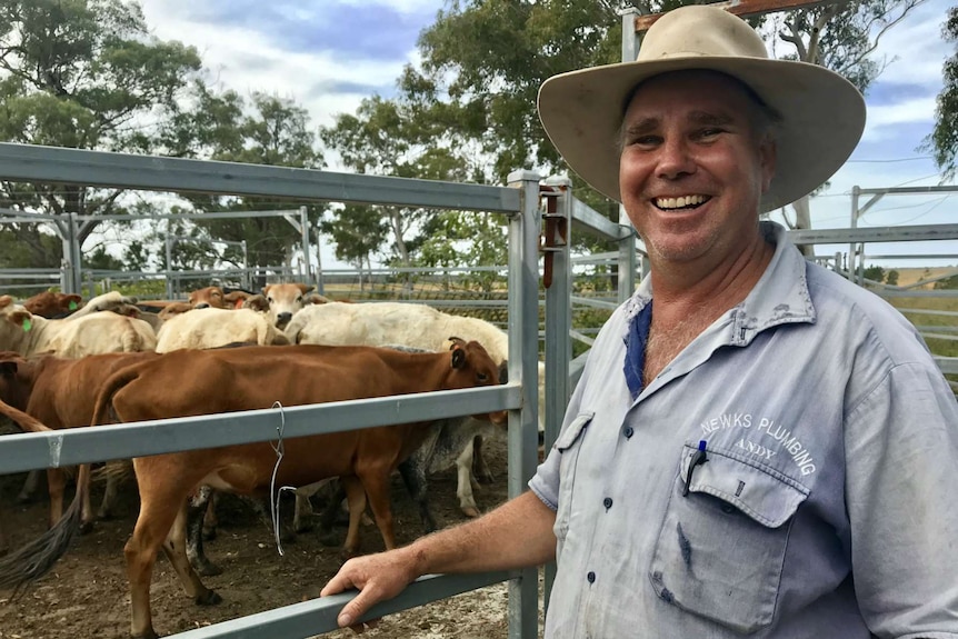 Andrew Newcombe smiles at the camera with the cattle in the yard behind him.