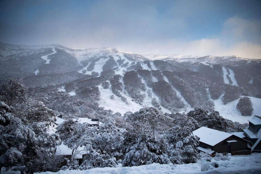 snow covered wide shot of Thredbo ski runs